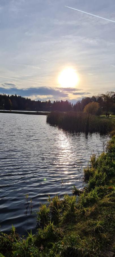 Harz Mit Herz, Infrarotsauna, E-Kamin, Herzdusche Goslar Exterior foto