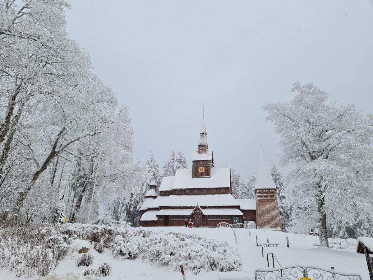 Harz Mit Herz, Infrarotsauna, E-Kamin, Herzdusche Goslar Exterior foto